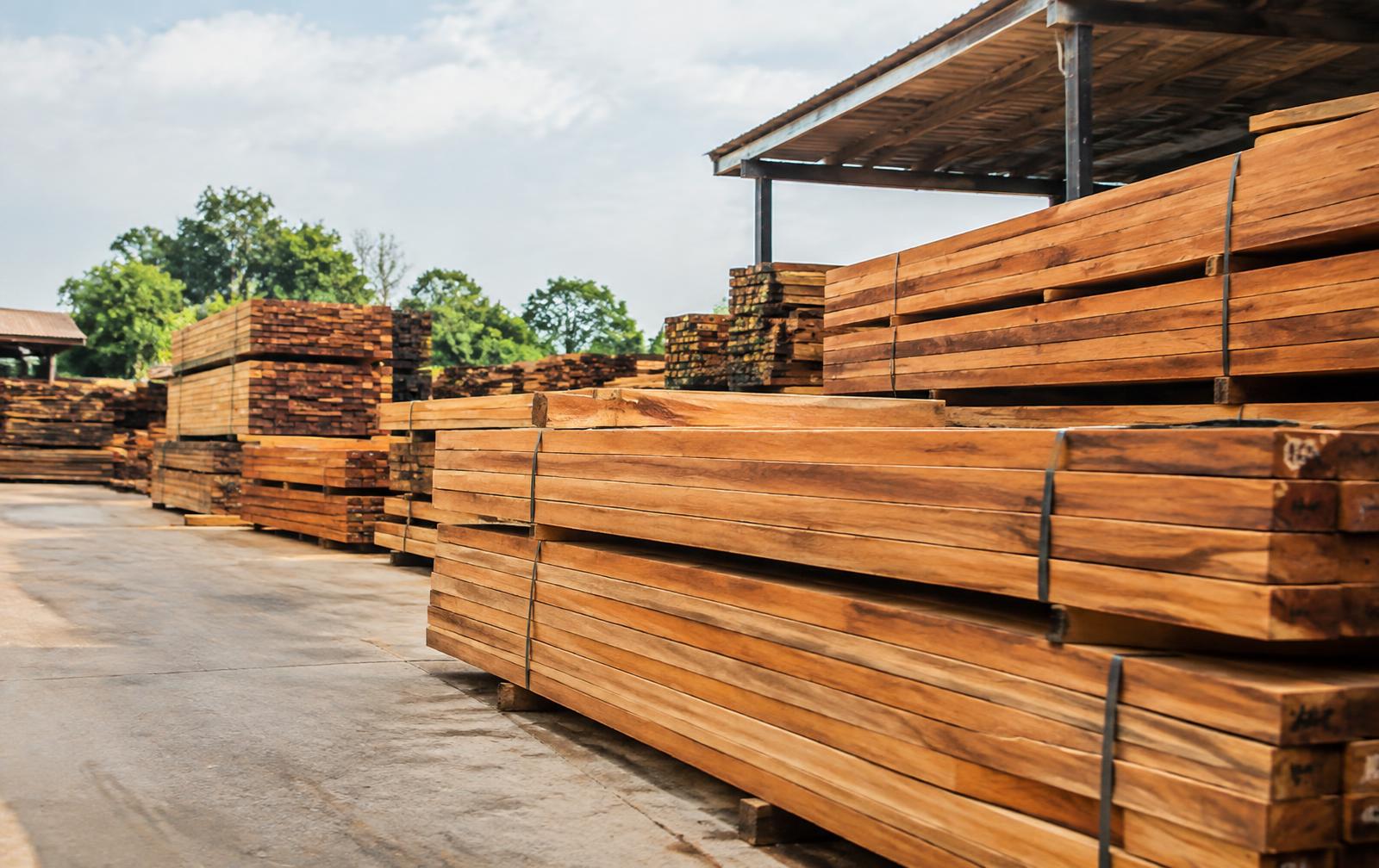 Pátio da madeireira com madeiras empilhadas